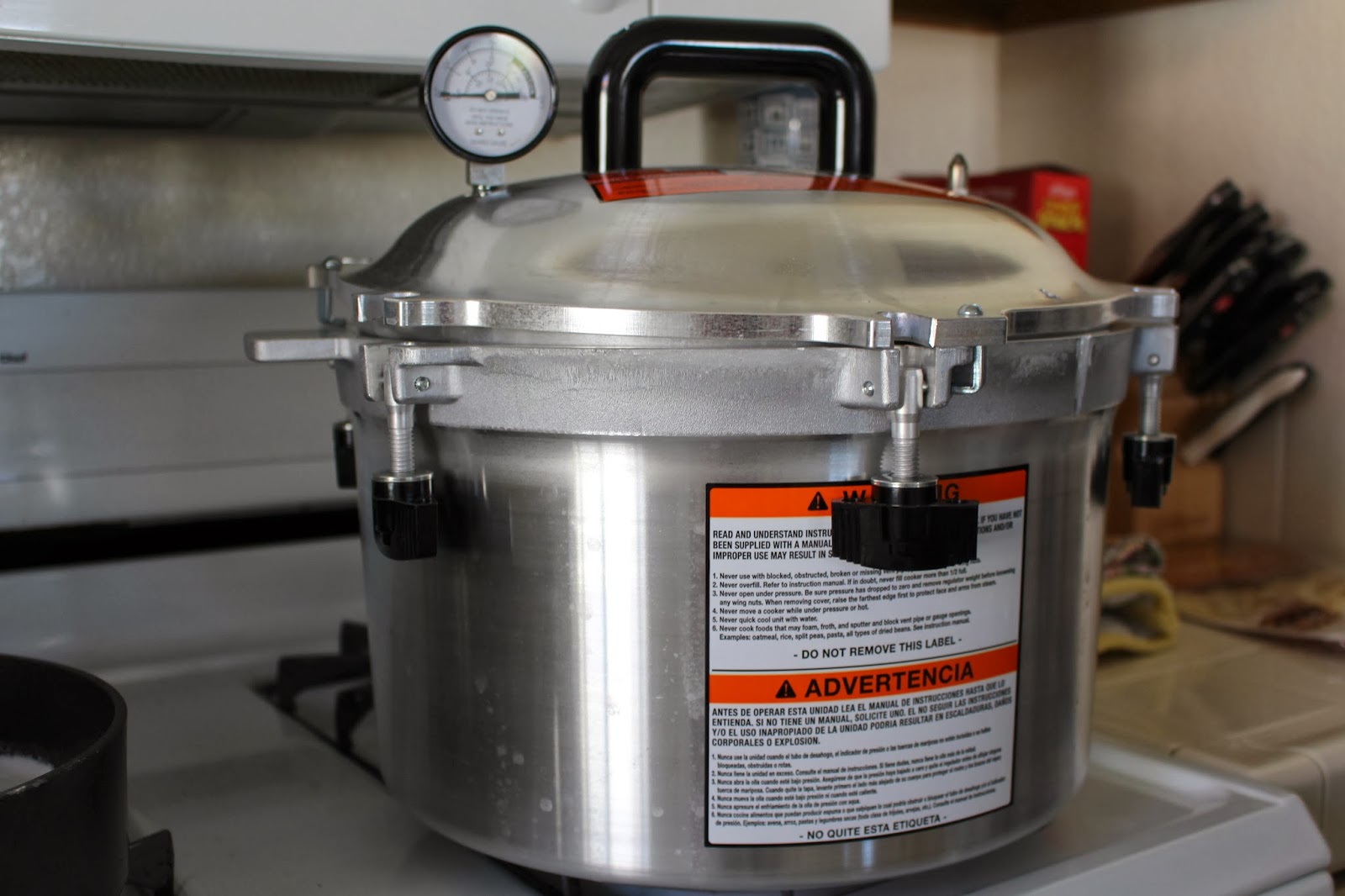 Char's Unique Creations: Canning Dry Beans